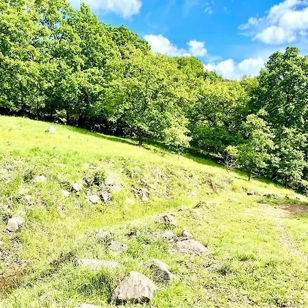 De La Bergerie